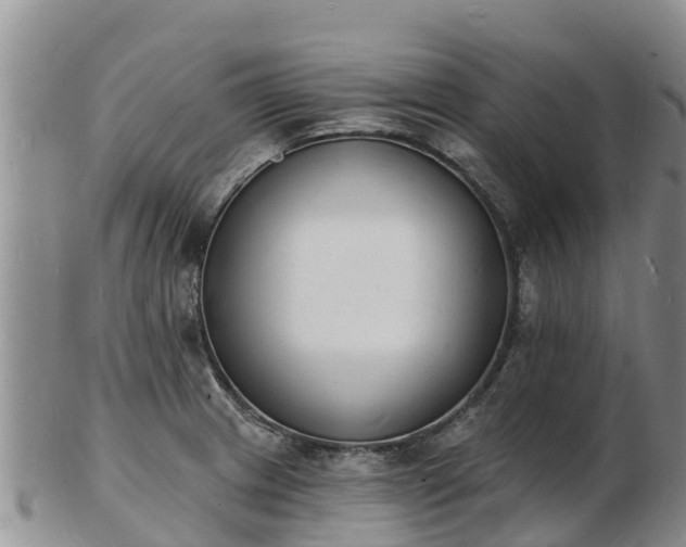 X0000103301233200809051515