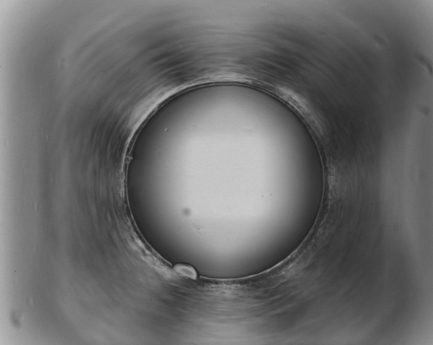 X0000103301236200809051515