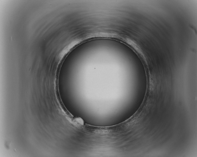 X0000103301237200809051515