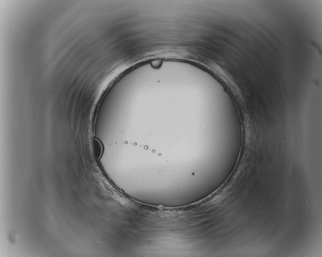 X0000103301240200809051515