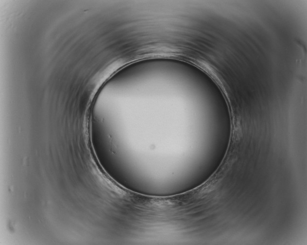 X0000103301243200809051515