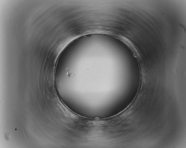 X0000103301244200809051515