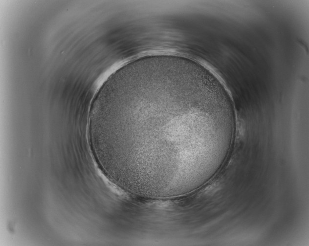 X0000103301245200809051515