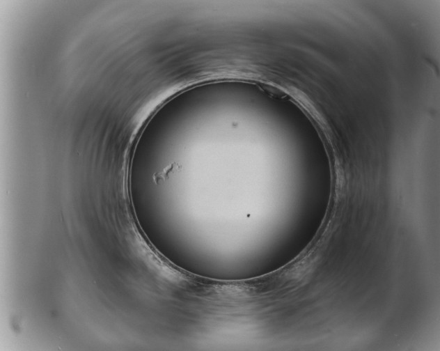 X0000103301246200809051515