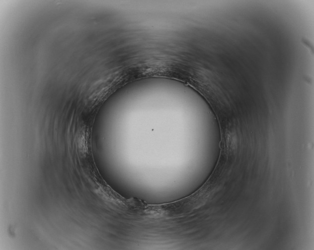 X0000103301250200809051515