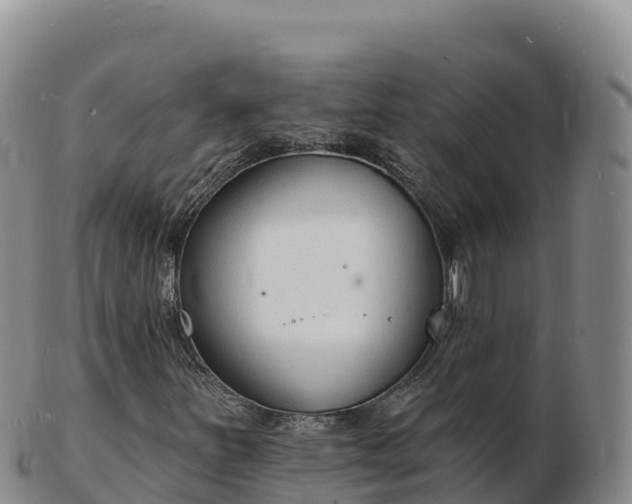 X0000103301251200809051515