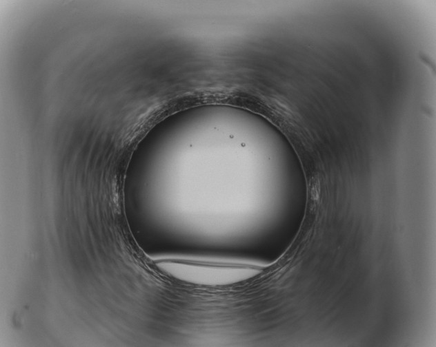 X0000103301252200809051515