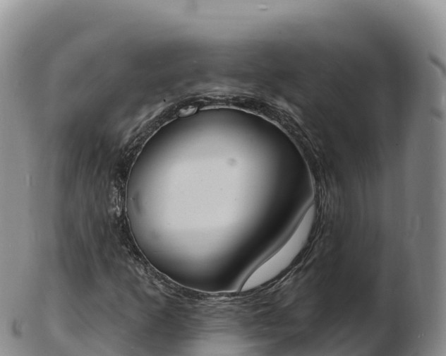 X0000103301253200809051515