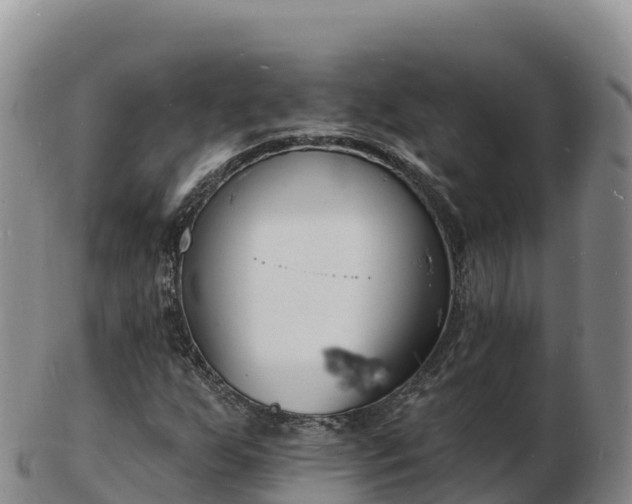 X0000103301255200809051514