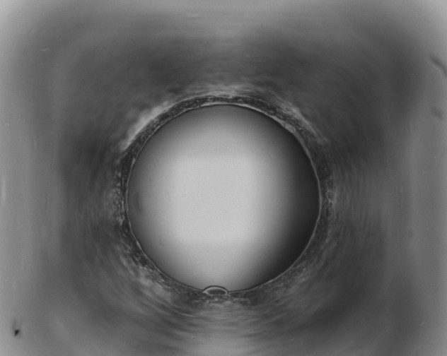 X0000103301256200809051514