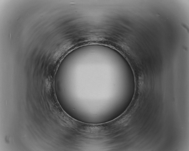 X0000103301257200809051514