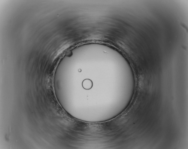 X0000103301258200809051514