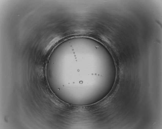 X0000103301259200809051514