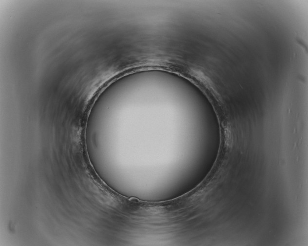 X0000103301260200809051514