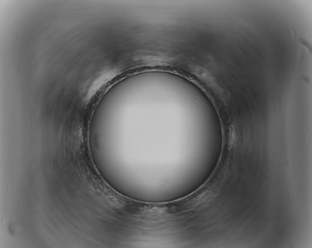 X0000103301261200809051514