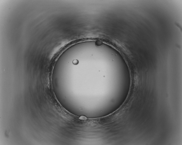 X0000103301262200809051514