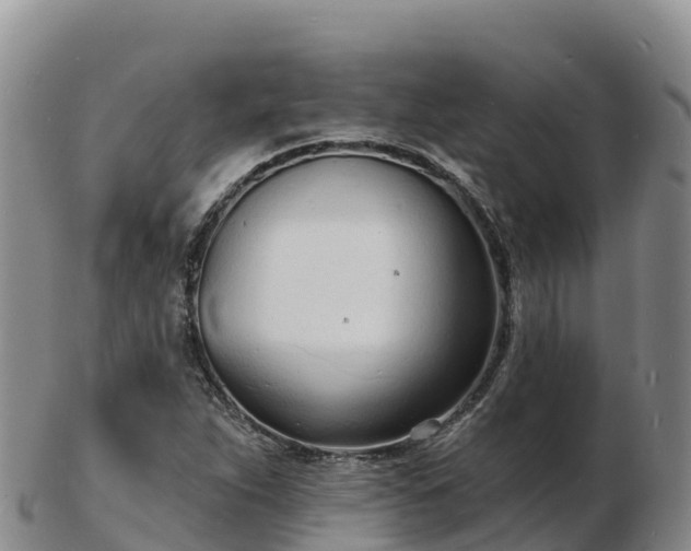 X0000103301263200809051514