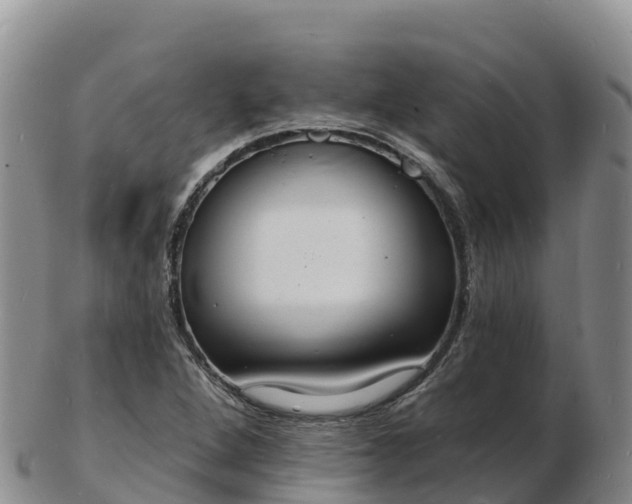 X0000103301264200809051514