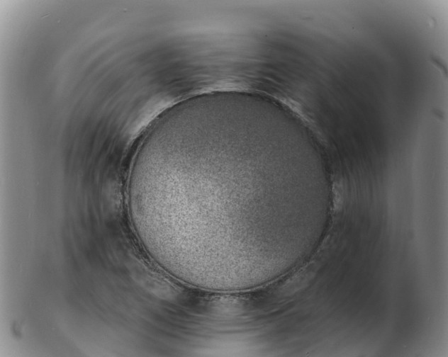 X0000103301266200809051514