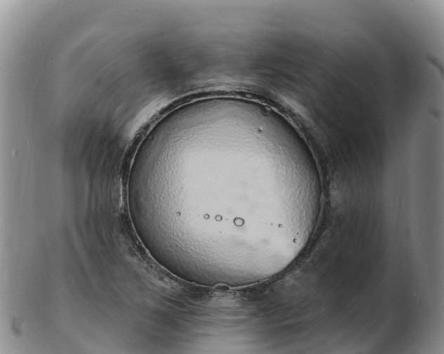 X0000103301267200809051514