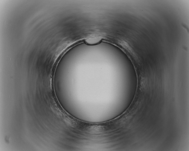 X0000103301268200809051514