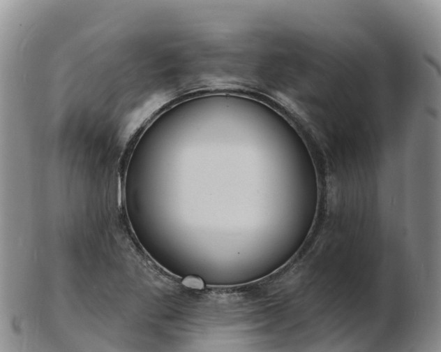 X0000103301269200809051514