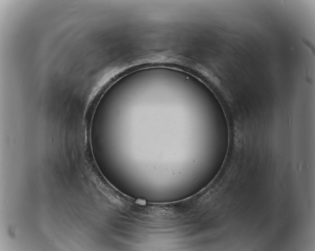 X0000103301270200809051514