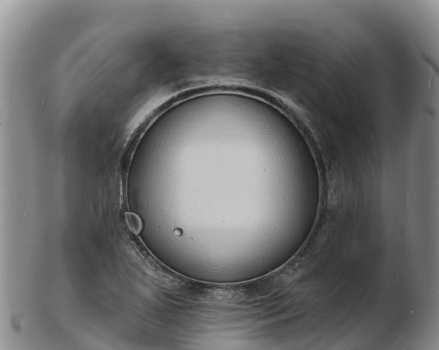 X0000103301271200809051514