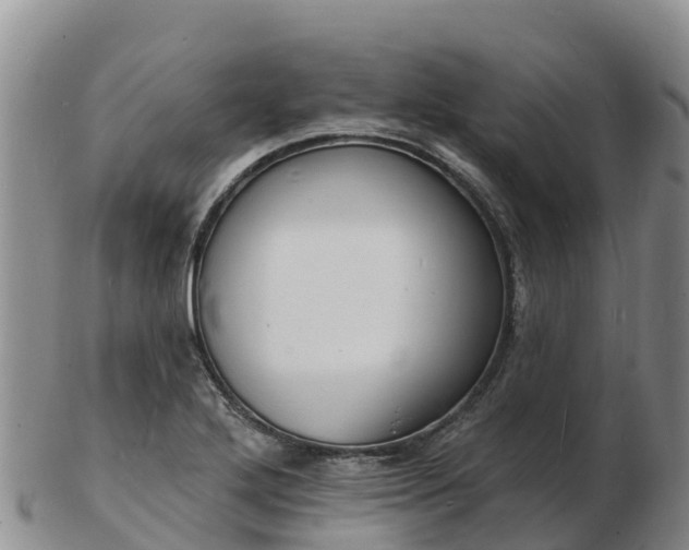 X0000103301272200809051514