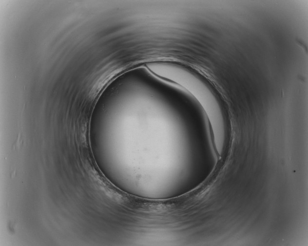 X0000103301273200809051514