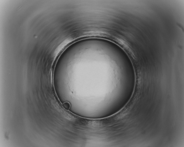 X0000103301275200809051514