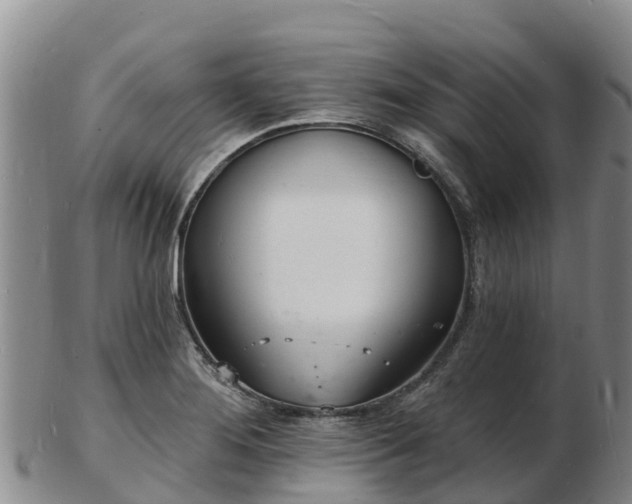 X0000103301276200809051514