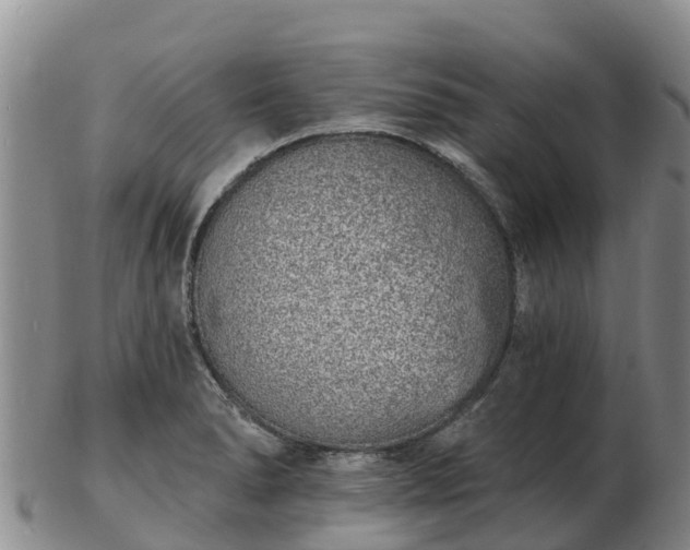 X0000103301278200809051514