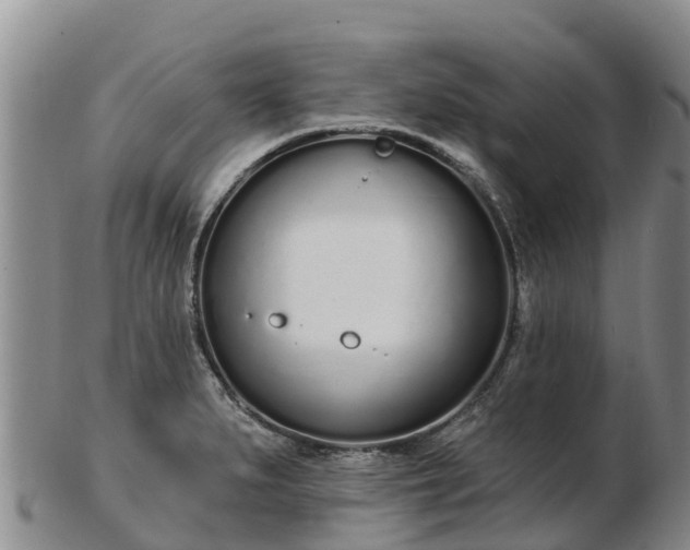 X0000103301279200809051514