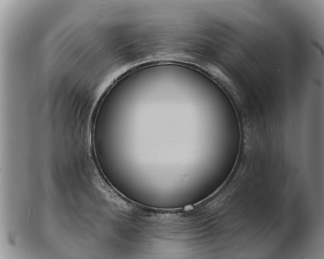 X0000103301280200809051514