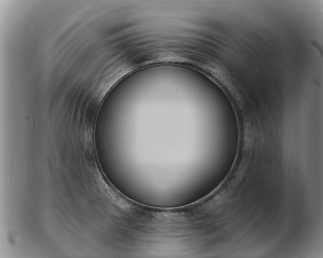 X0000103301281200809051514