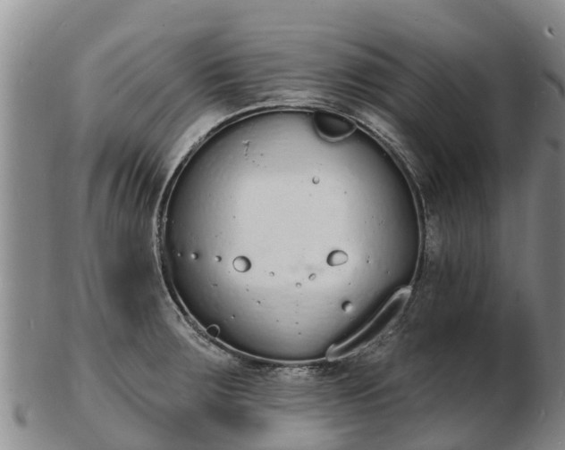 X0000103301283200809051514