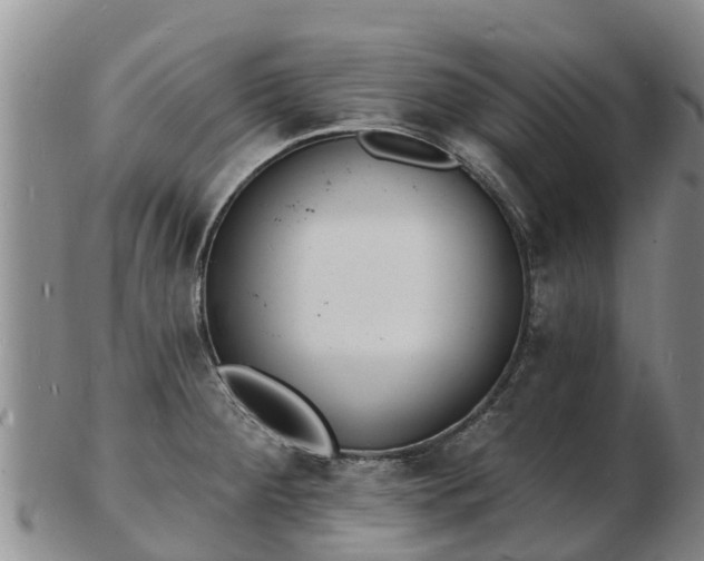 X0000103301284200809051514