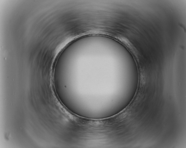 X0000103301286200809051514