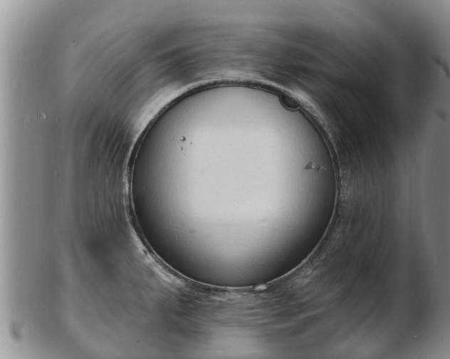 X0000103301287200809051514