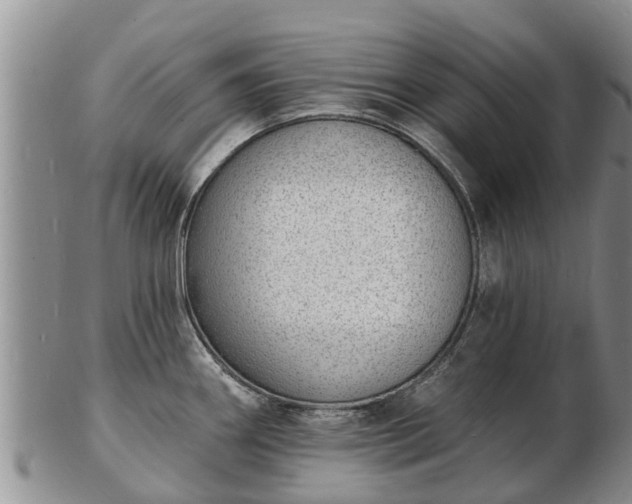 X0000103301290200809051514