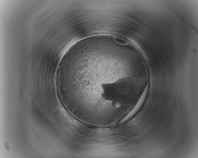 X0000103301291200809051514