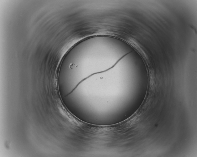 X0000103301292200809051514