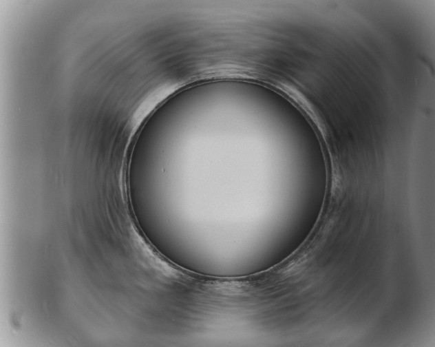 X0000103301293200809051514