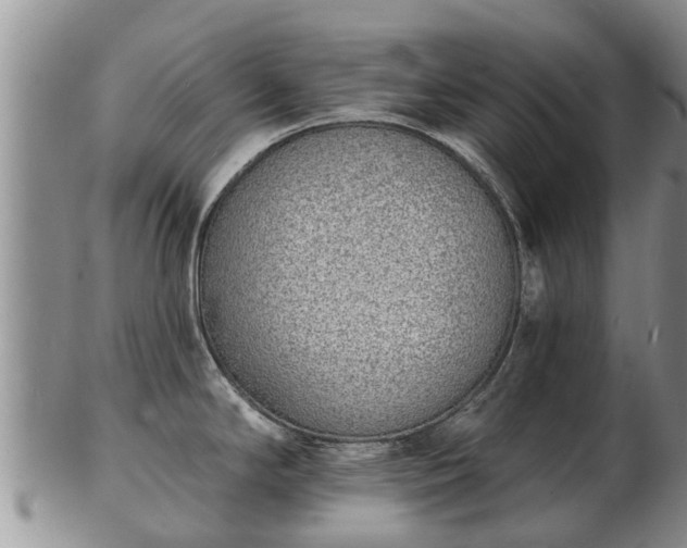 X0000103301294200809051514