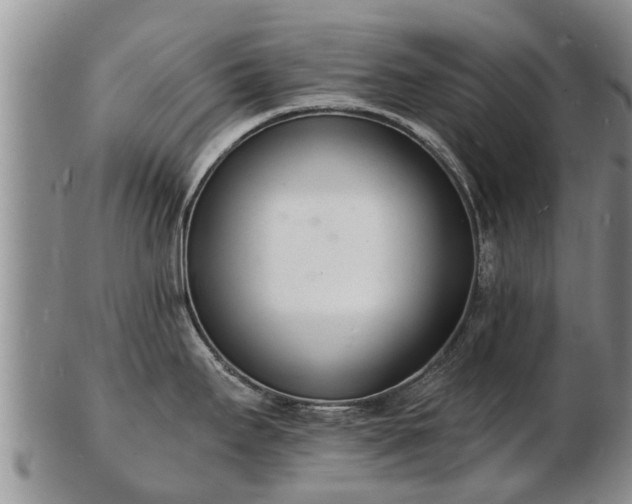 X0000103301295200809051514