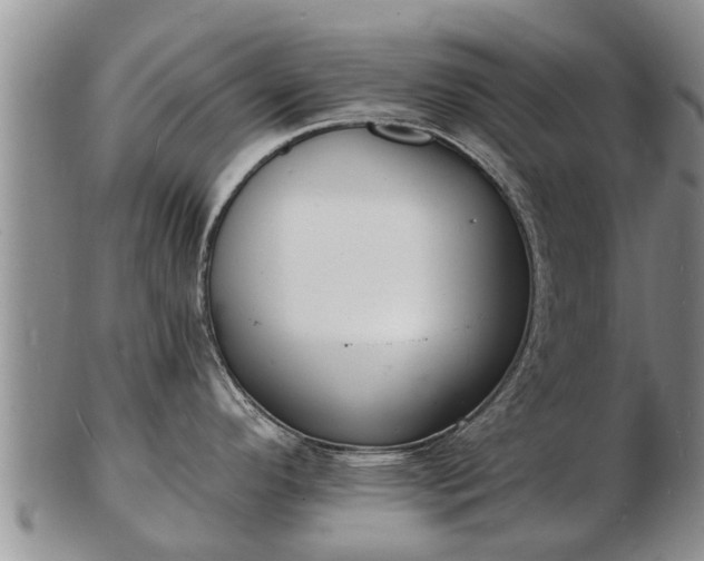 X0000103301296200809051514