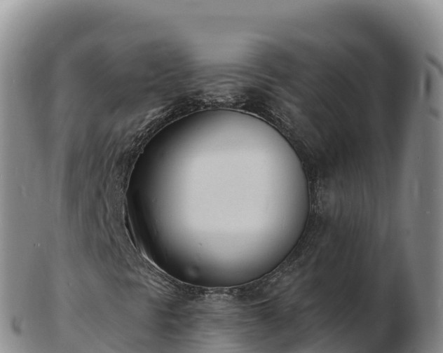 X0000103301297200809051513