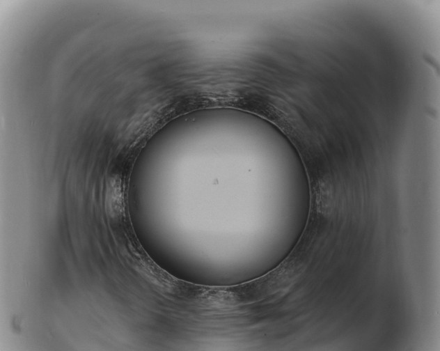 X0000103301298200809051513