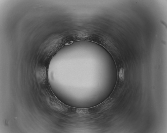 X0000103301299200809051513